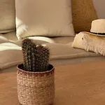 別荘 Cala Lanuza アリカンテ