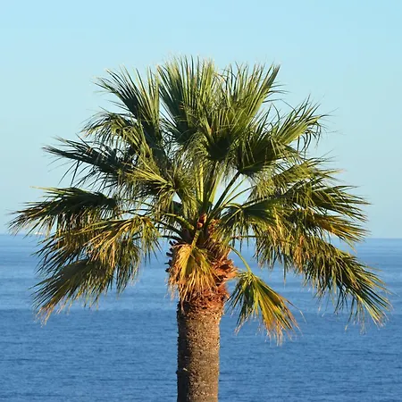 Ferienhaus Cala Lanuza