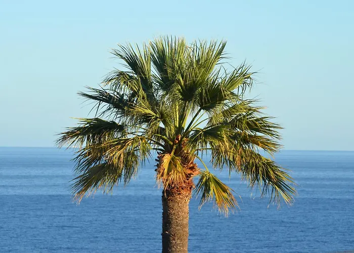Ferienhaus Cala Lanuza